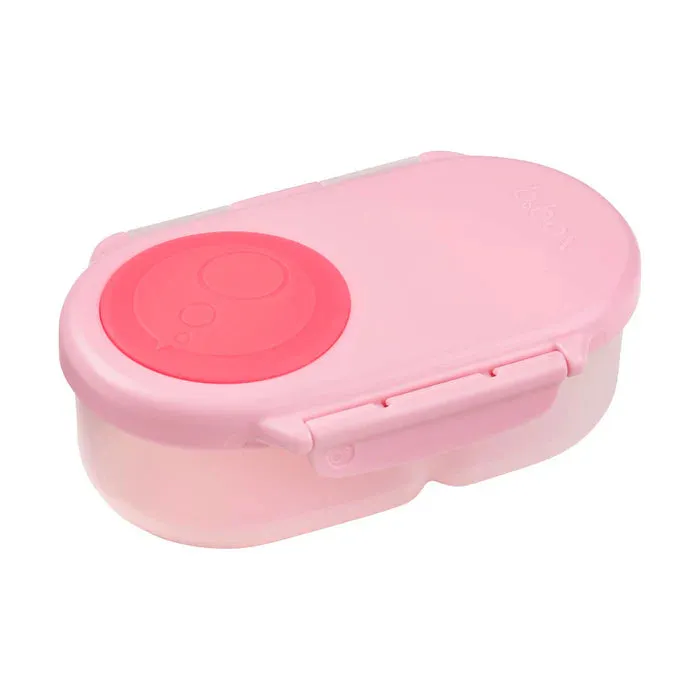 Bento Snackbox