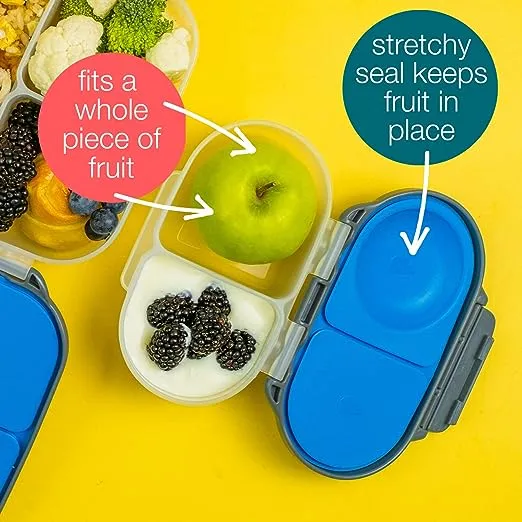 Bento Snackbox