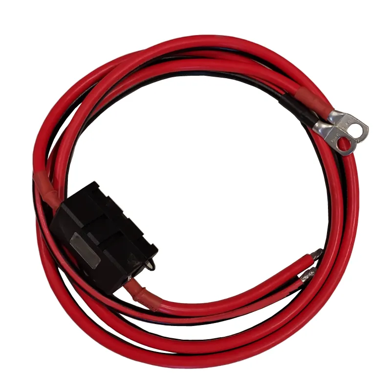 COMPLETE CABLE KIT FOR THE VICTRON IP22 12/30-1 OUTPUT BATTERY CHARGER