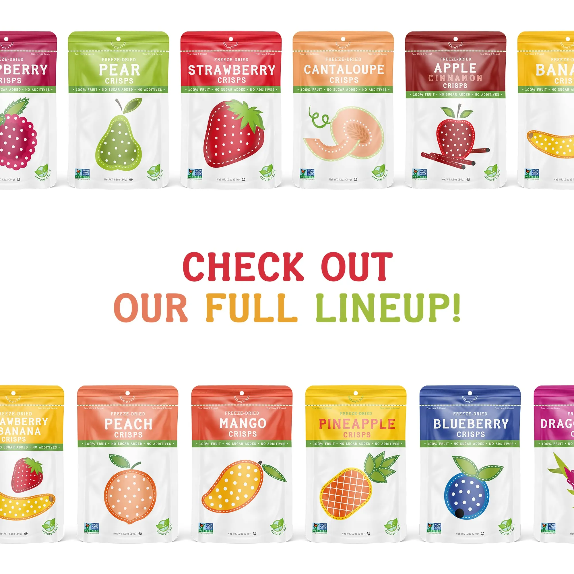 Nature’s Turn Freeze-Dried Fruit Snacks, Apple Cinnamon Crisps - Pack of 12 (0.53 oz Each)