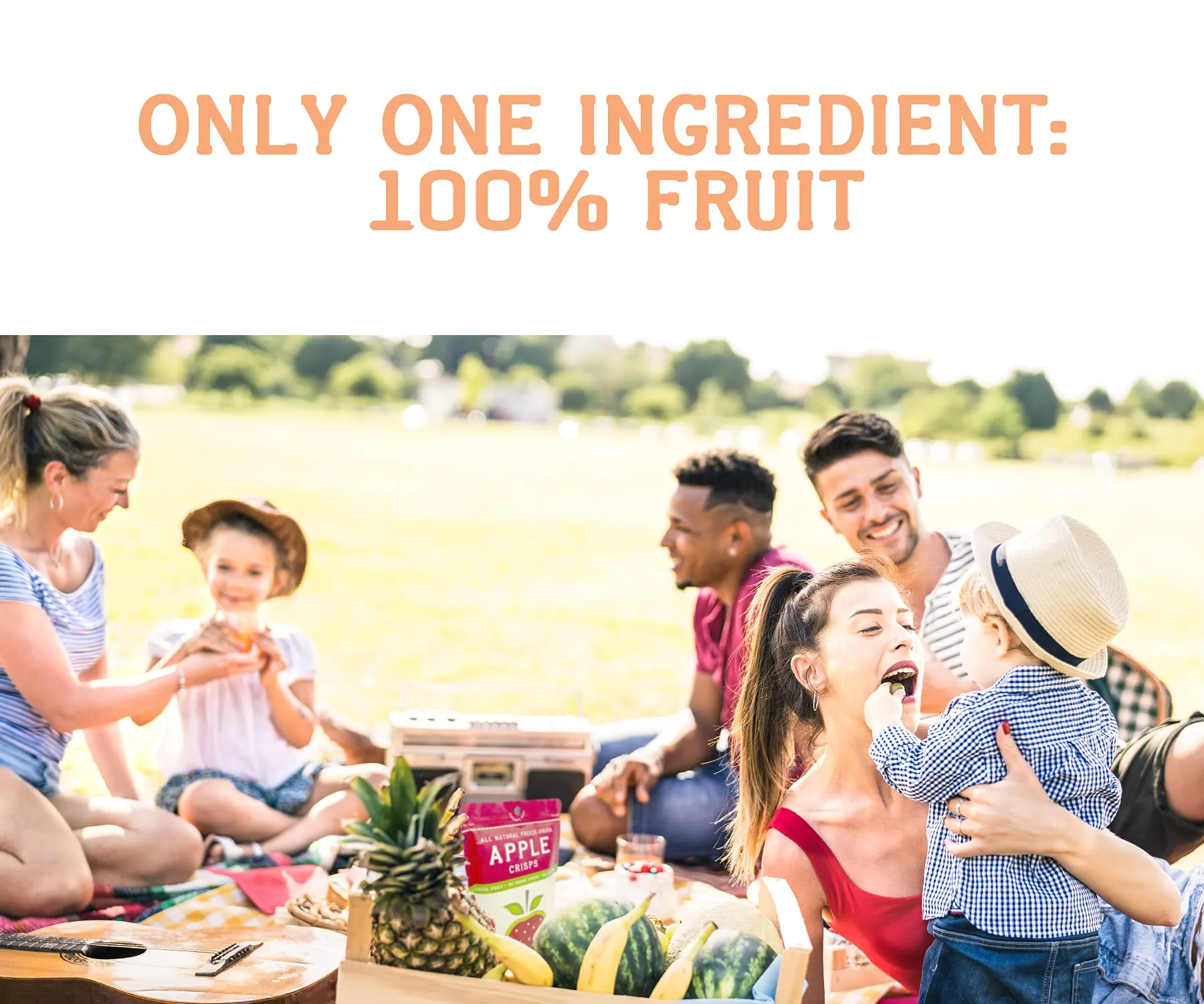 Nature’s Turn Freeze-Dried Fruit Snacks, Mango Crisps - Pack of 6 (1.2 oz Each)