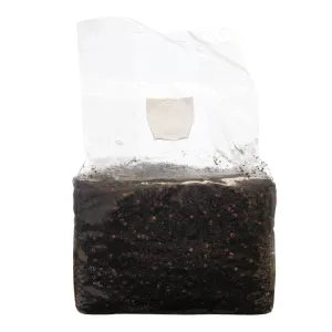 SuperSpore Mushroom Sub Grow Bag 6-7lb