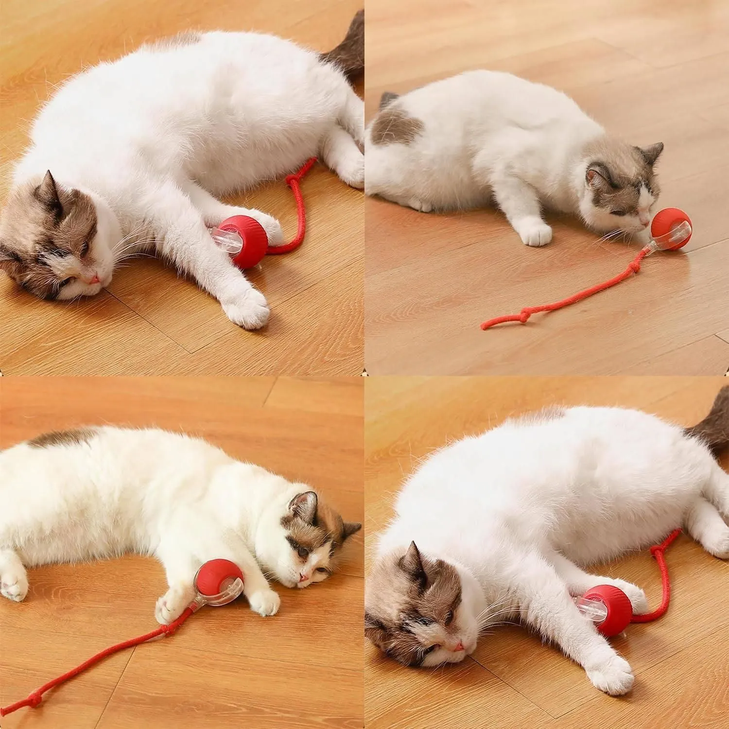Viral Rolling Ball, Interactive Cat Ball Toy
