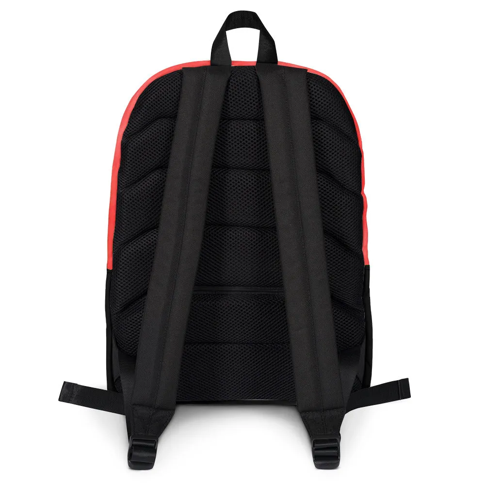 'What color?' backpack